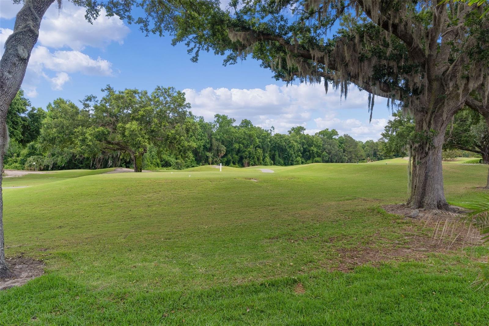 9429 SAN MIGUEL, HOWEY IN THE HILLS, FL, 34737
