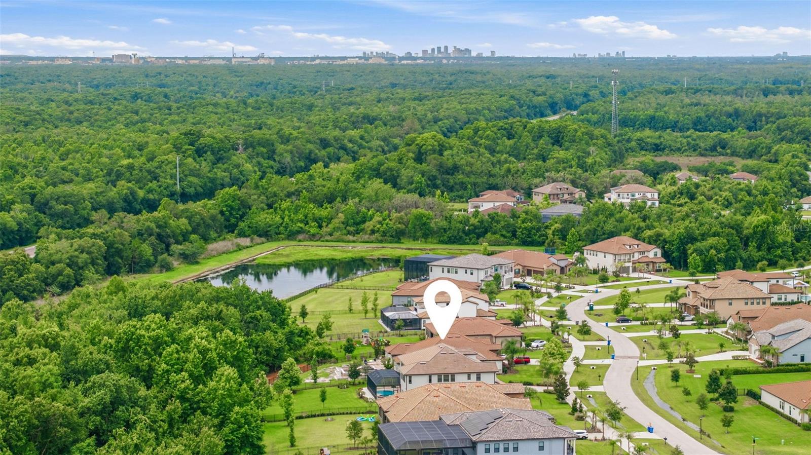 3019 CORDOBA RANCH BLVD, LUTZ, FL, 33559