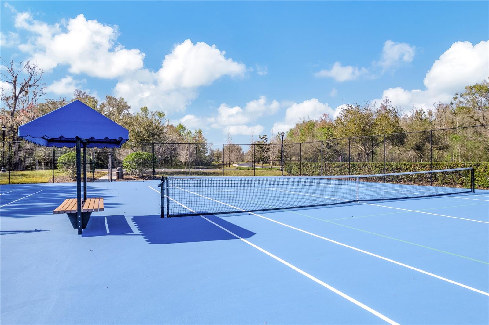 3019 CORDOBA RANCH BLVD, LUTZ, FL, 33559