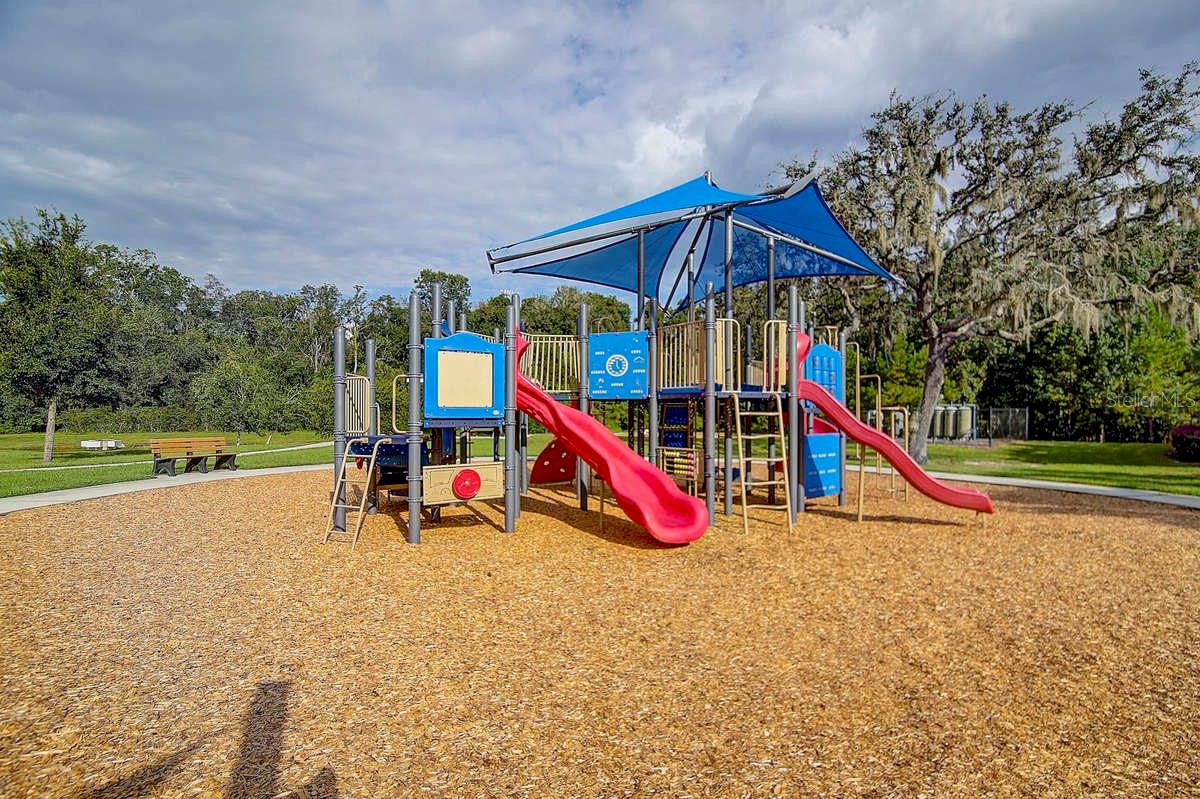 3019 CORDOBA RANCH BLVD, LUTZ, FL, 33559