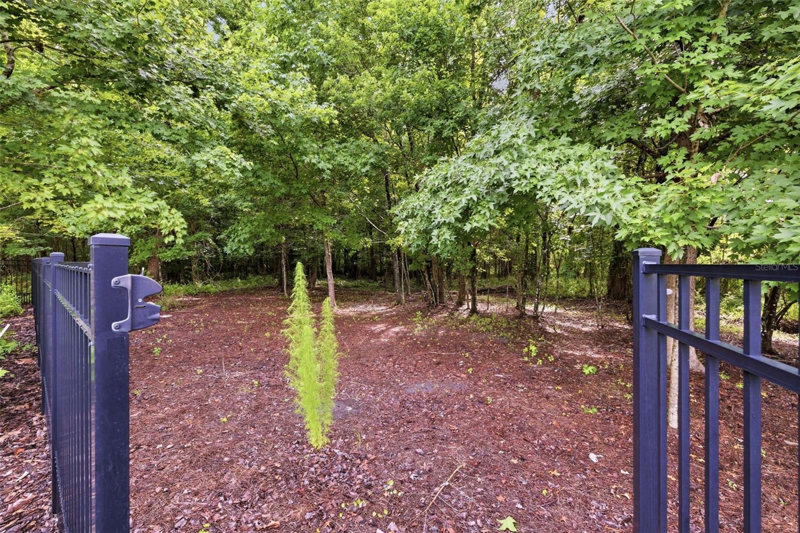 3019 CORDOBA RANCH BLVD, LUTZ, FL, 33559