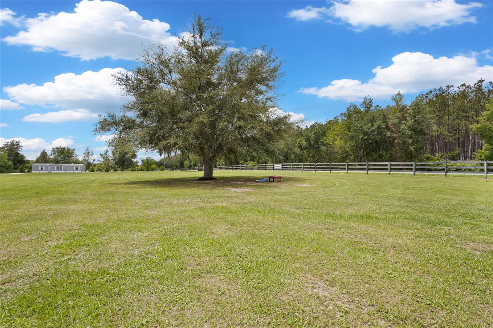 133 SW SEDGEFIELD LN, FORT WHITE, FL, 32038