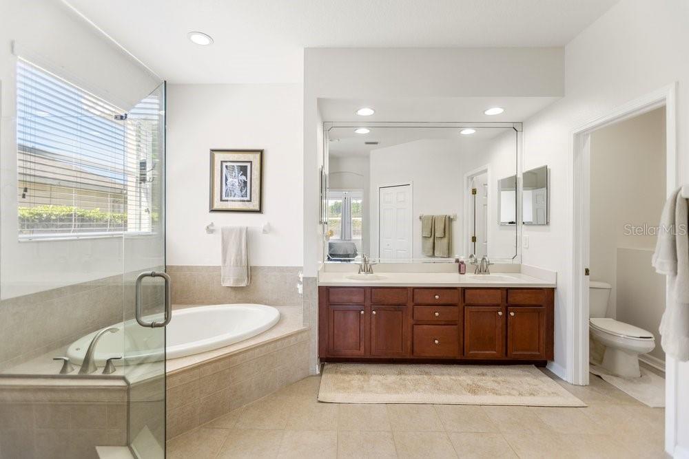 8758 CRYSTAL CREEK CT, LAND O LAKES, FL, 34638
