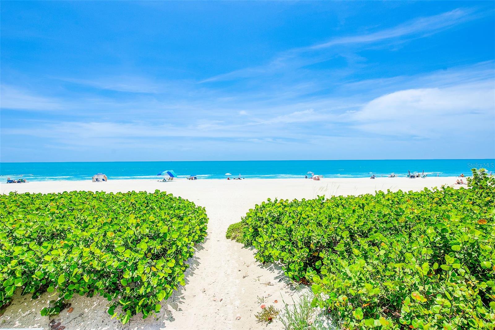 19530 GULF BLVD #1B, INDIAN SHORES, FL, 33785