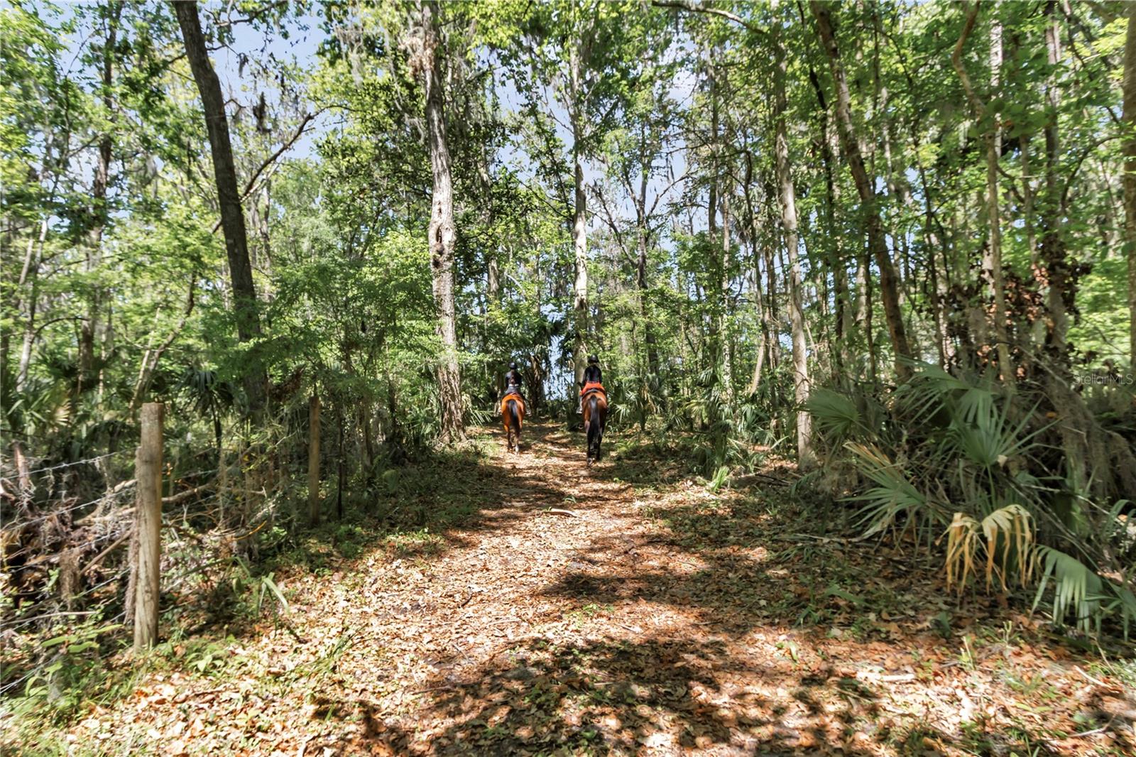 7000 NW HWY 320, MICANOPY, FL, 32667