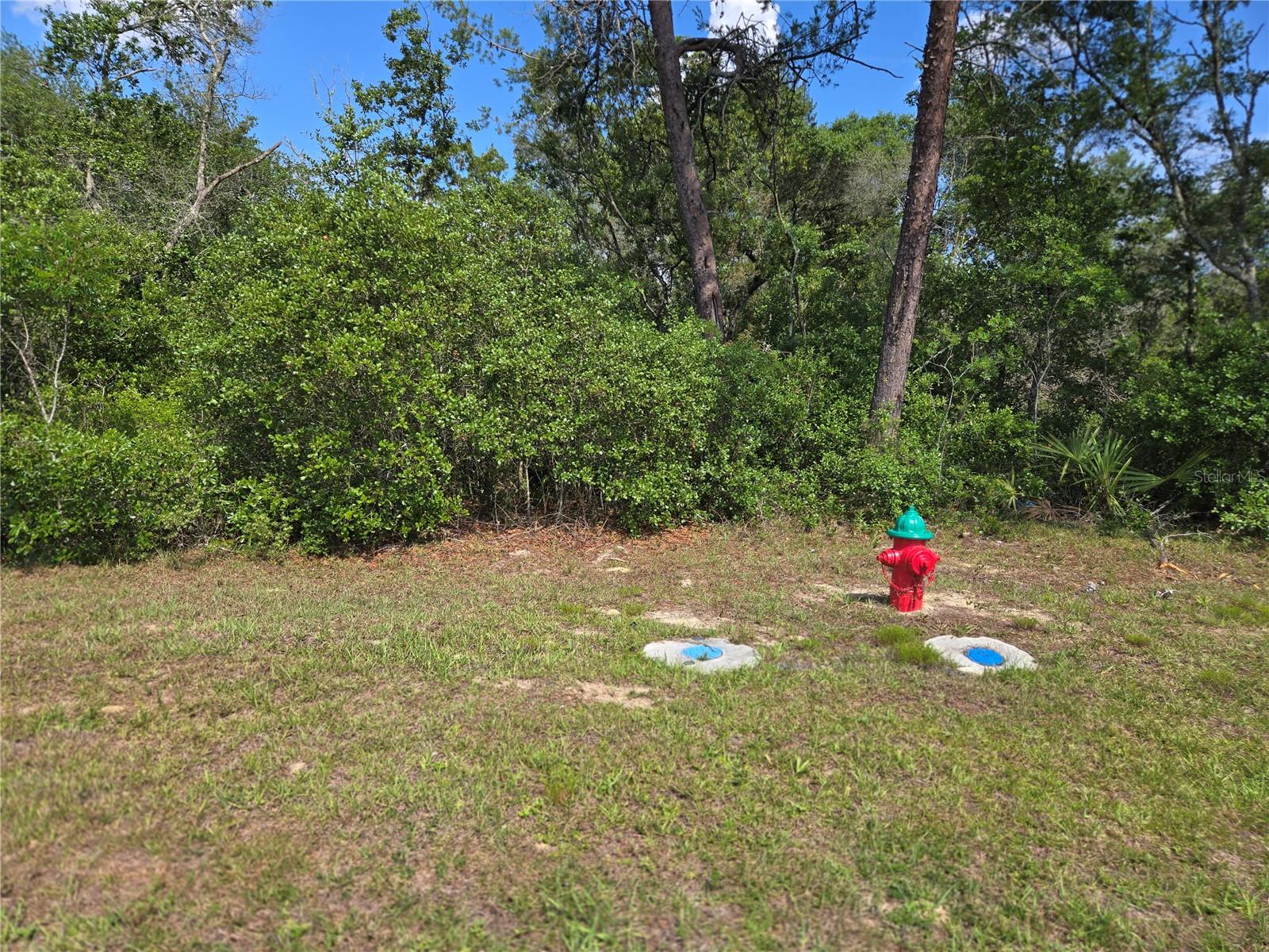00 MARION OAKS BLVD, OCALA, FL, 34473