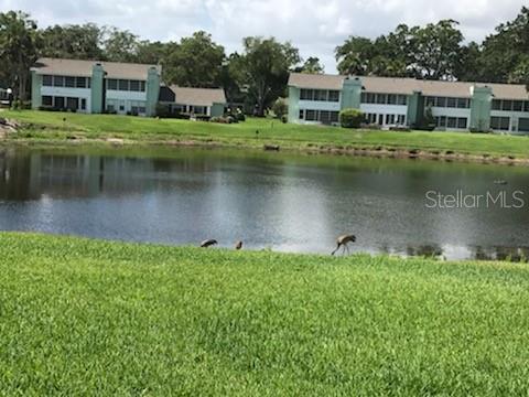 519 MIDWAY DR #A, OCALA, FL, 34472