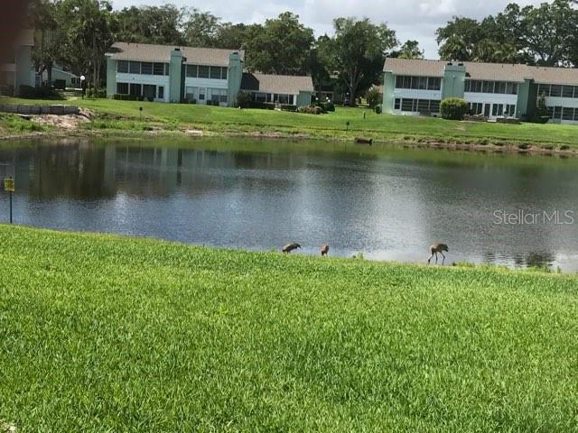 519 MIDWAY DR #A, OCALA, FL, 34472