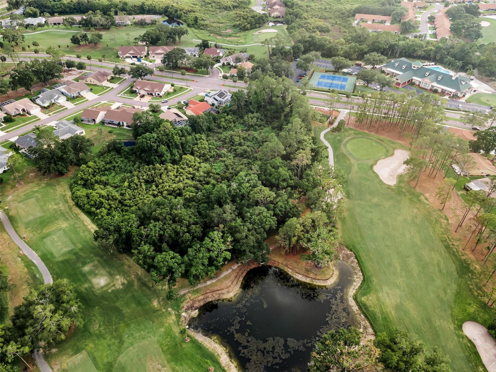 6240 FAIRSKIES DR, NEW PORT RICHEY, FL, 34655