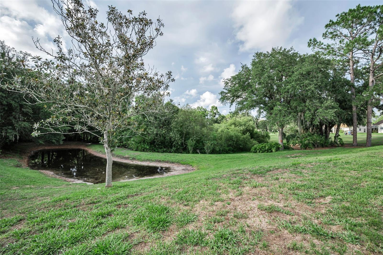 6240 FAIRSKIES DR, NEW PORT RICHEY, FL, 34655