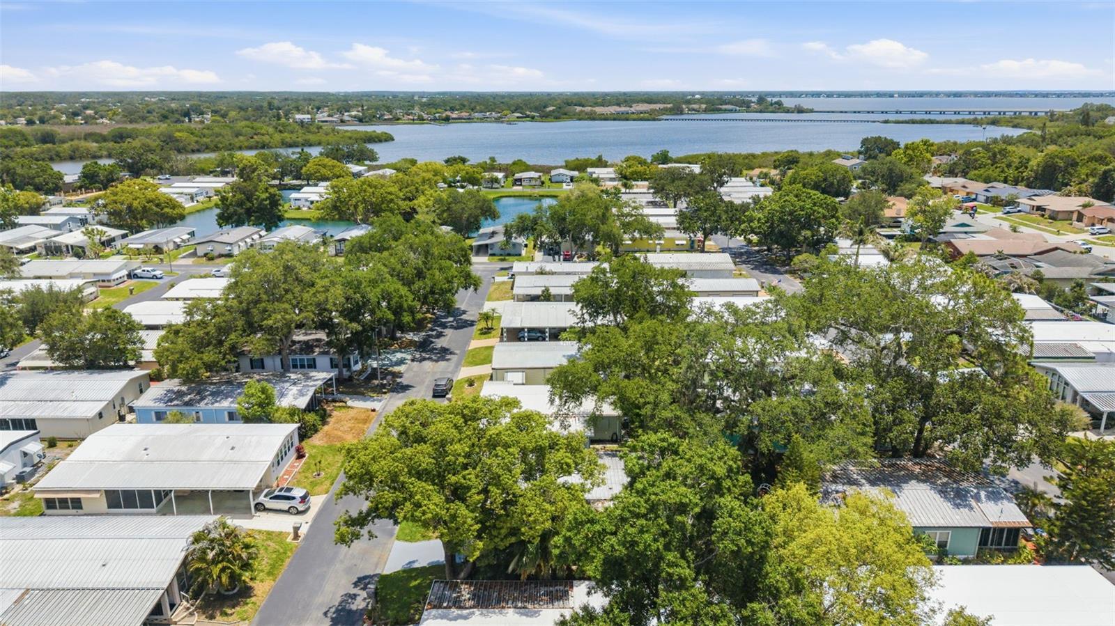 132 FOREST LN #6, SAFETY HARBOR, FL, 34695