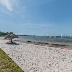 3595 41ST LN S #D, ST PETERSBURG, FL, 33711