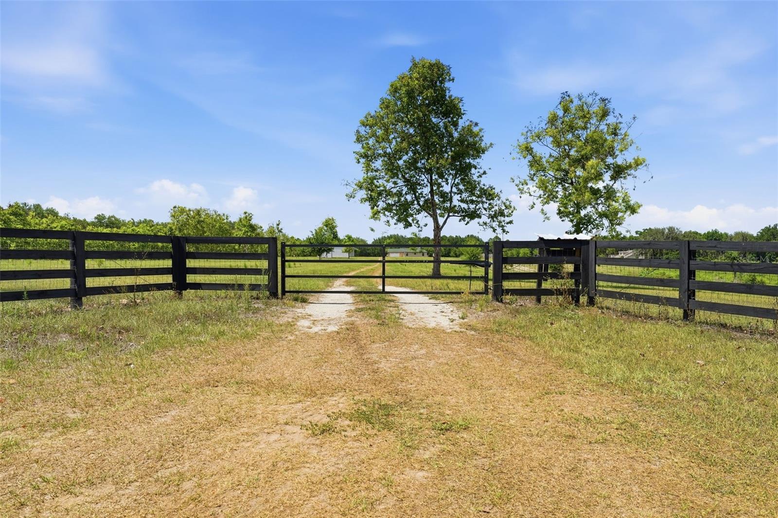 14433 LAKE YALE RD, UMATILLA, FL, 32784