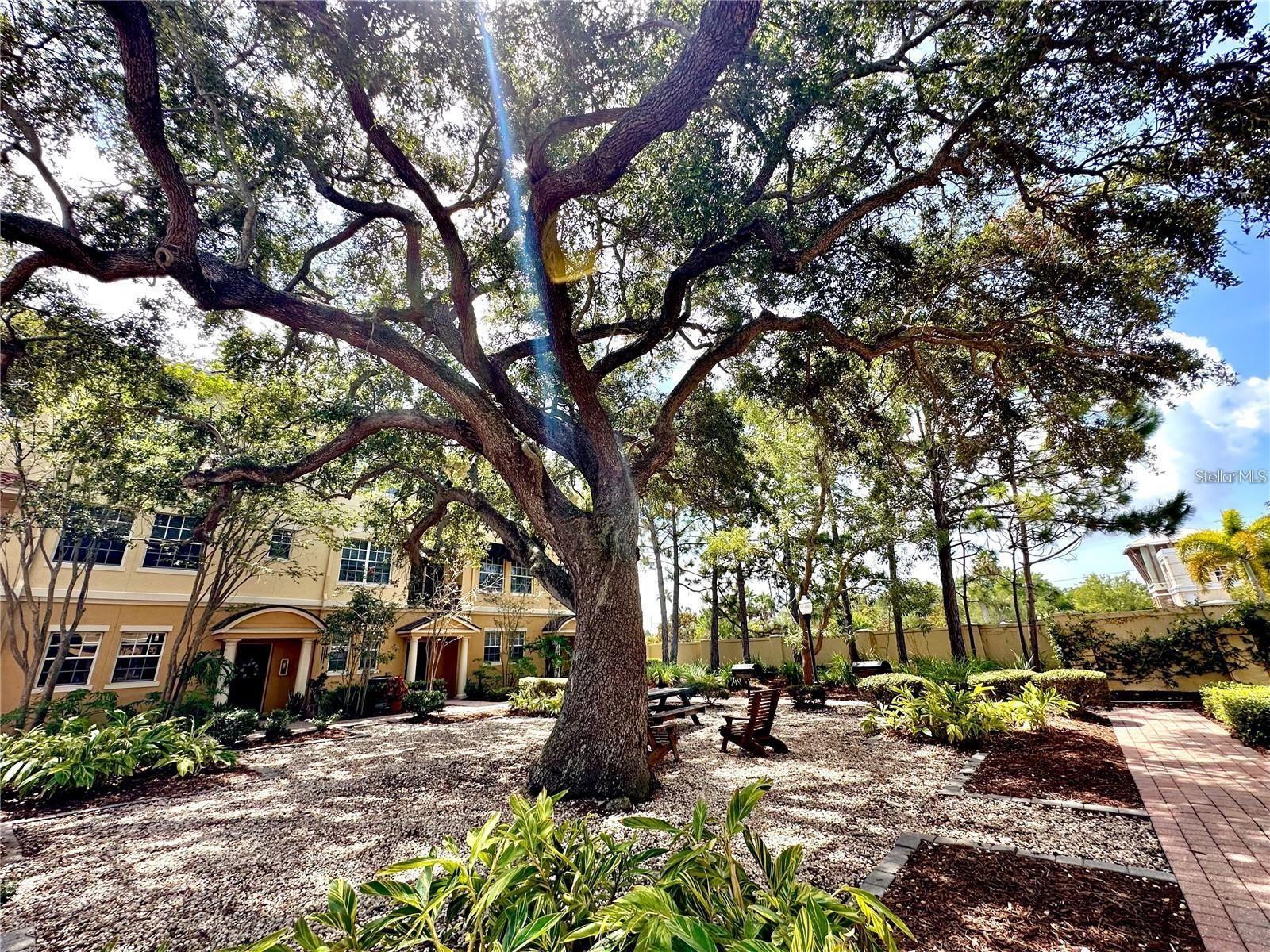 532 JASMINE WAY, CLEARWATER, FL, 33756