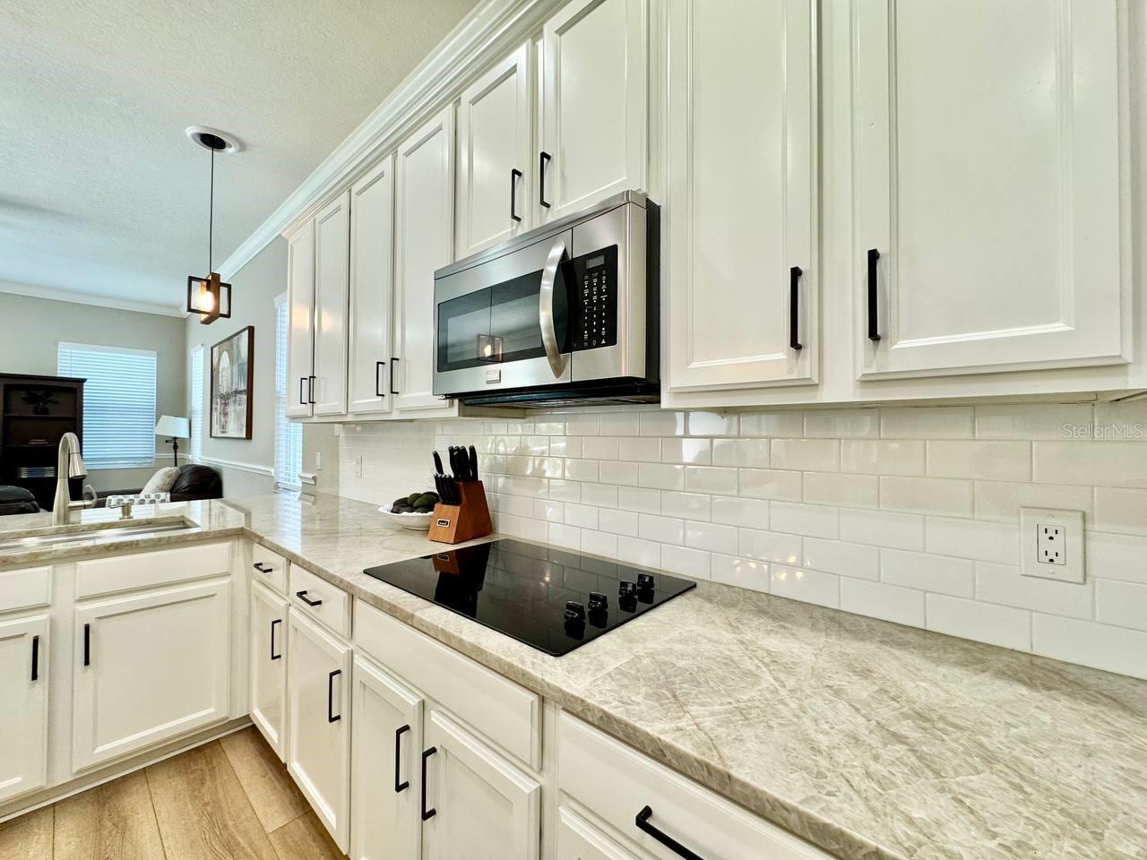 18711 CHAVILLE RD, LUTZ, FL, 33558