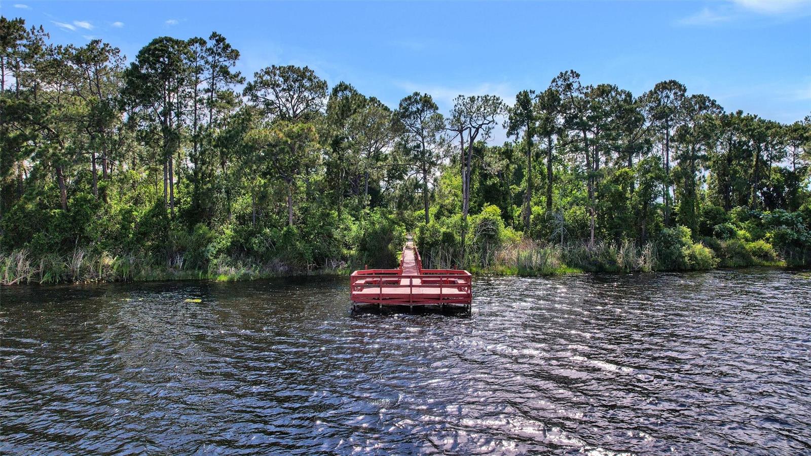 1175 JAYBEE AVE, DAVENPORT, FL, 33897