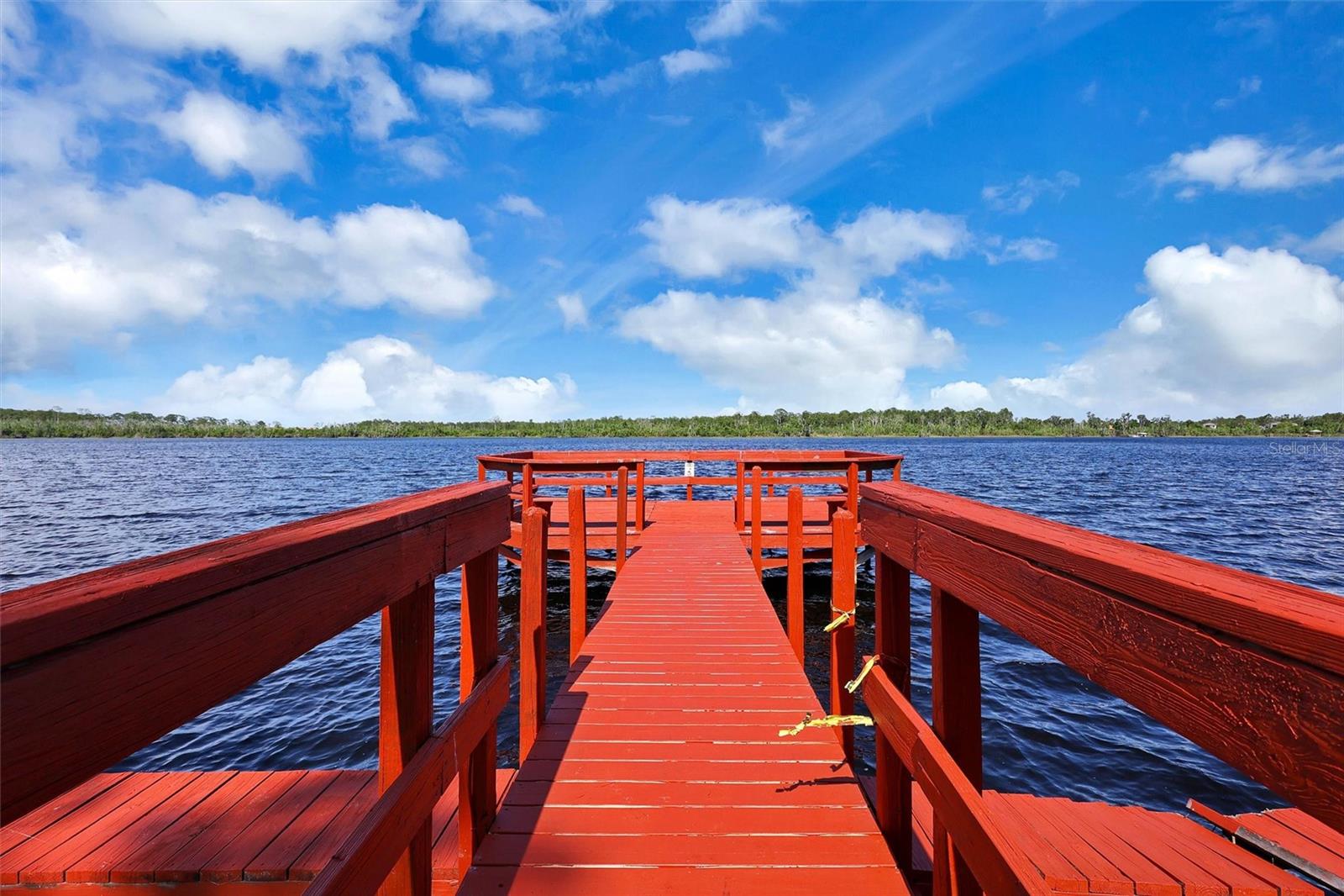 1175 JAYBEE AVE, DAVENPORT, FL, 33897