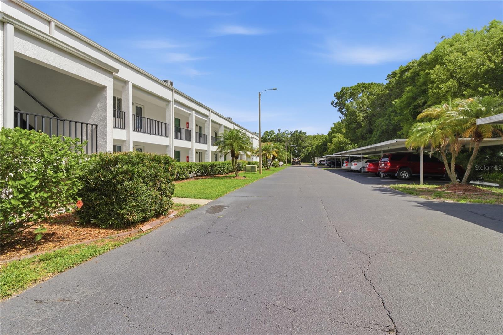 2060 MARILYN ST #207, CLEARWATER, FL, 33765