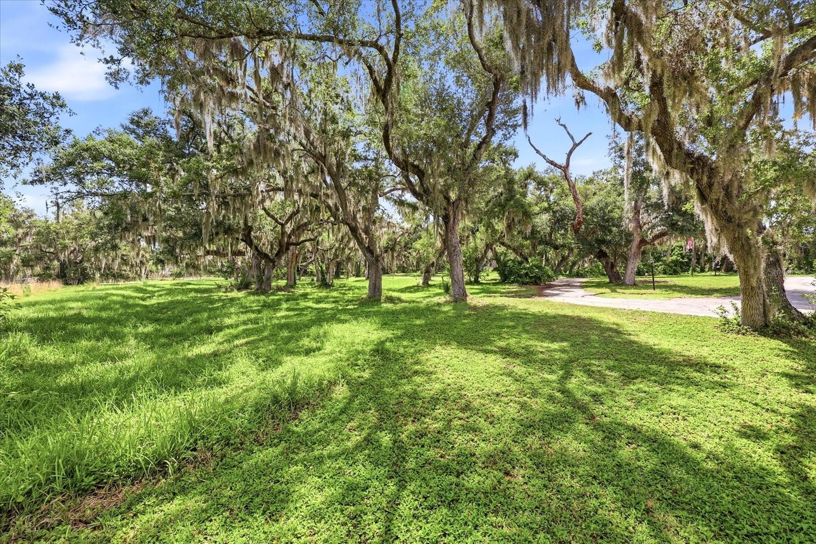 5850 VANDERIPE RD, SARASOTA, FL, 34241