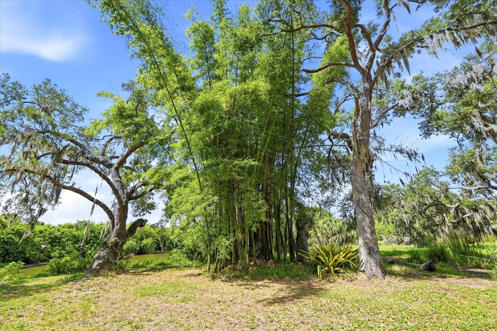 5850 VANDERIPE RD, SARASOTA, FL, 34241