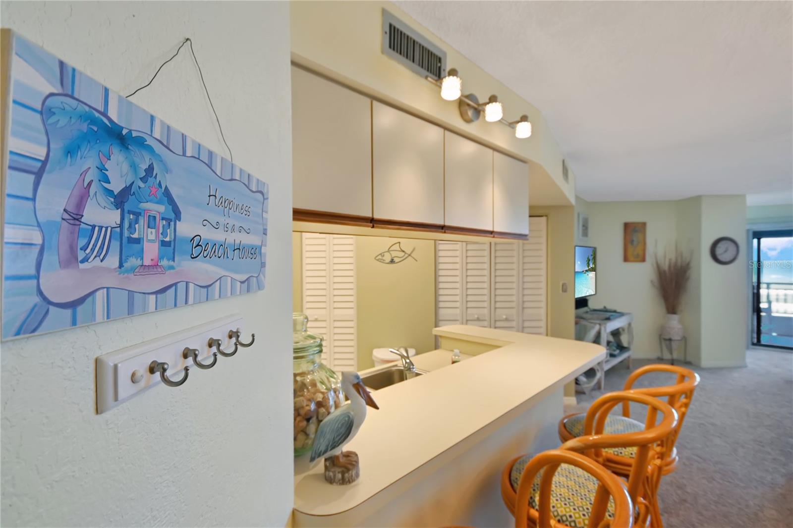 5207 S ATLANTIC AVE #323, NEW SMYRNA BEACH, FL, 32169