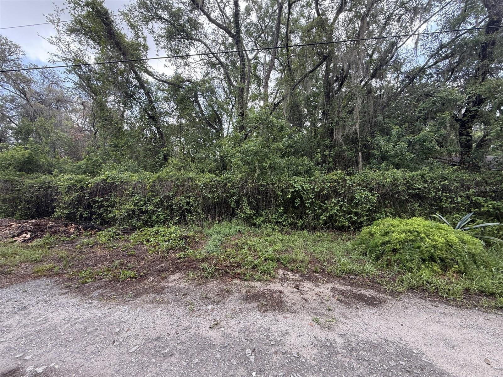10934 LEON ST, NEW PORT RICHEY, FL, 34654