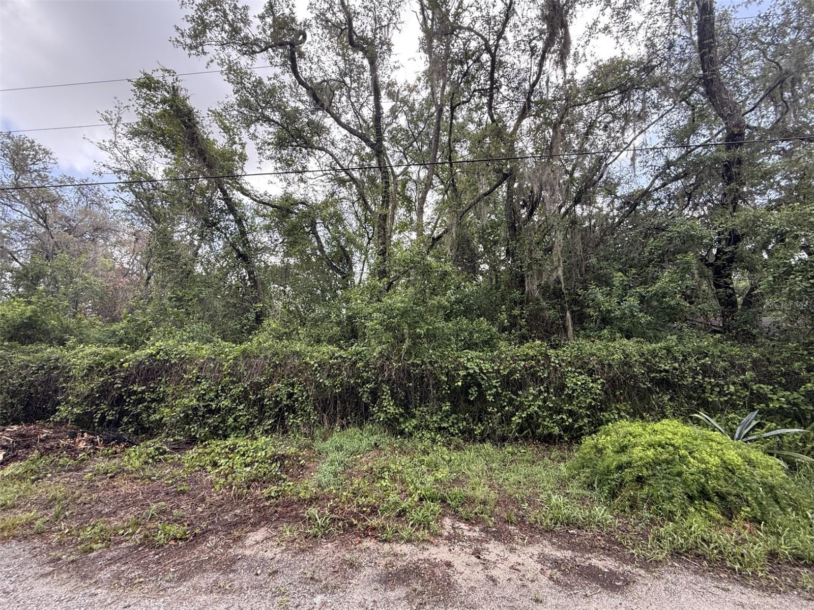 10934 LEON ST, NEW PORT RICHEY, FL, 34654