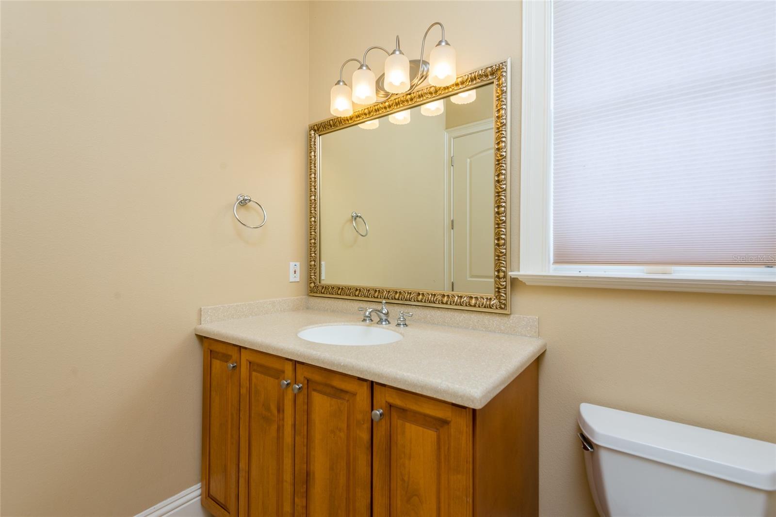 7902 FOXCATCHER CT, ODESSA, FL, 33556