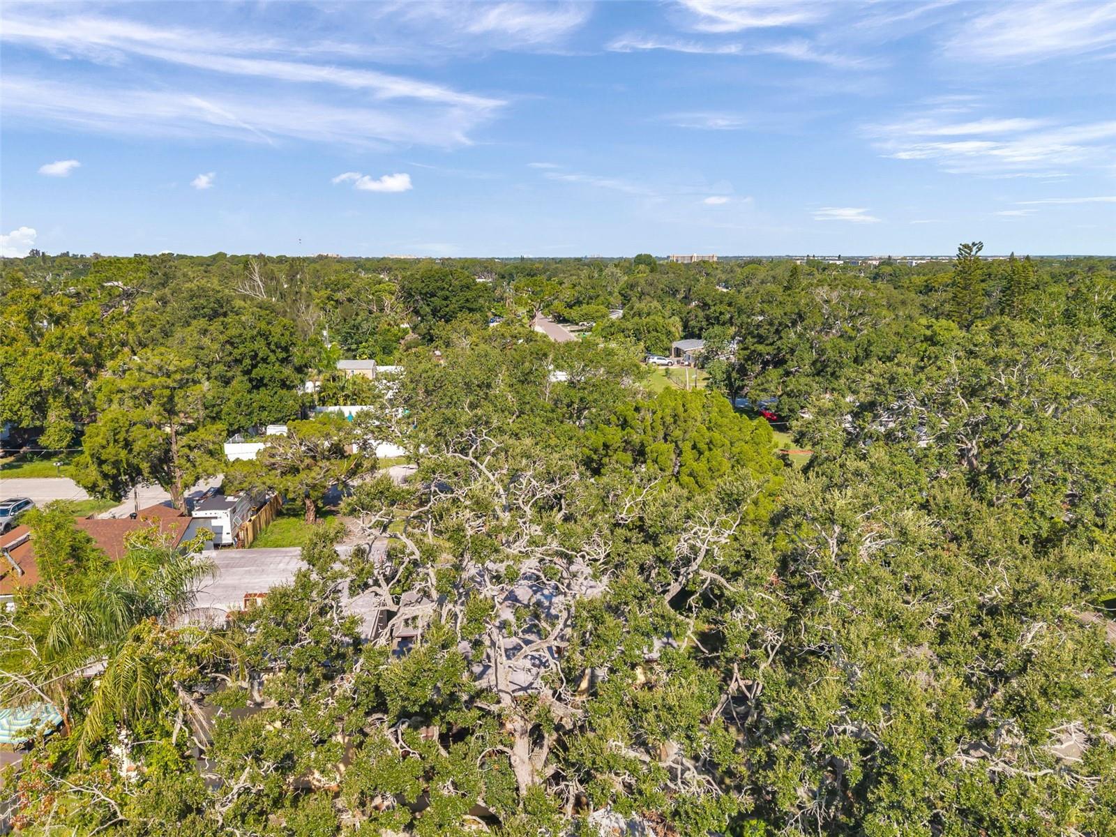 7180 50TH AVE N, ST PETERSBURG, FL, 33709