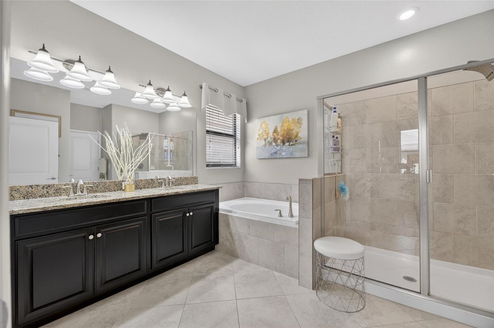 10802 GREAT CORMORANT DR, RIVERVIEW, FL, 33579
