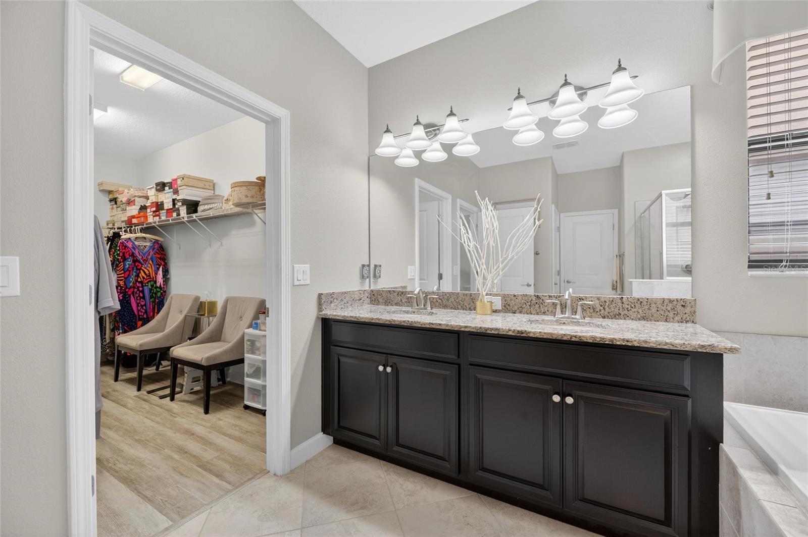 10802 GREAT CORMORANT DR, RIVERVIEW, FL, 33579