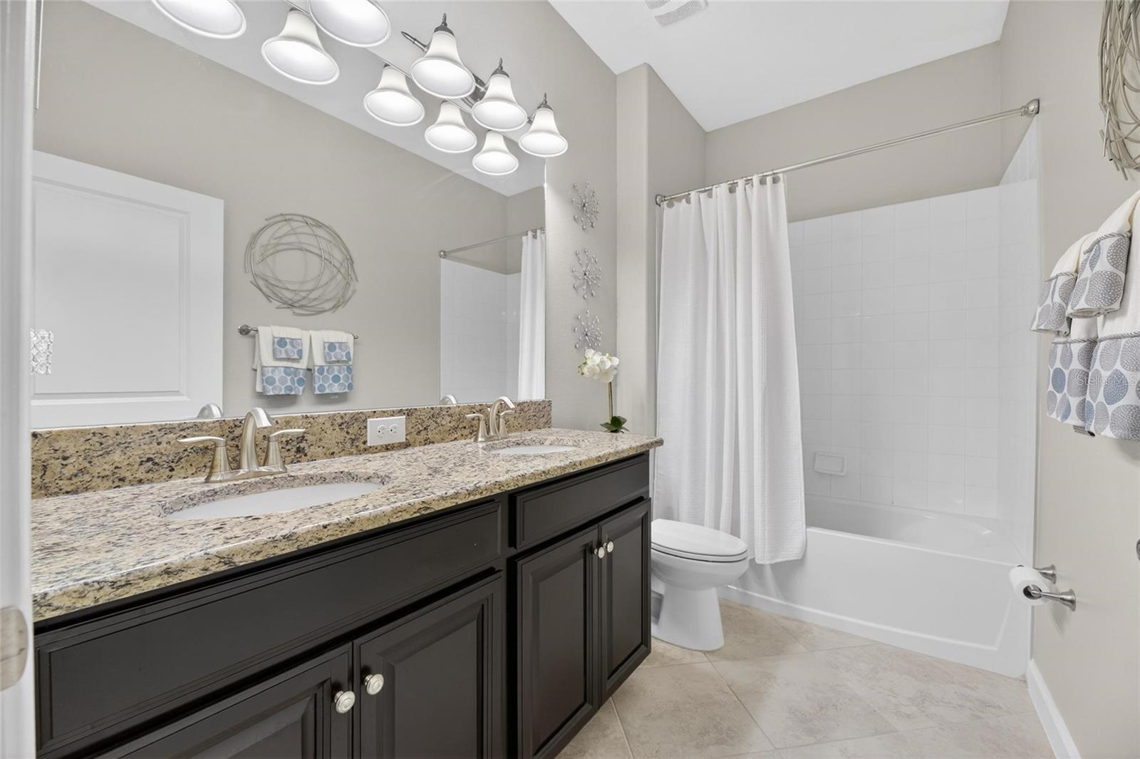 10802 GREAT CORMORANT DR, RIVERVIEW, FL, 33579