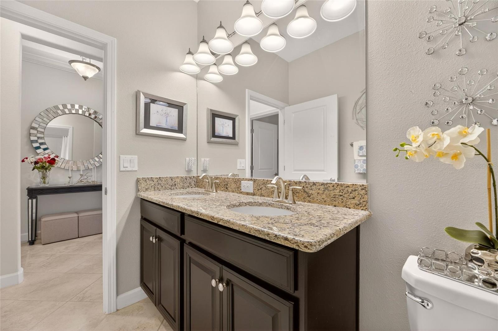 10802 GREAT CORMORANT DR, RIVERVIEW, FL, 33579
