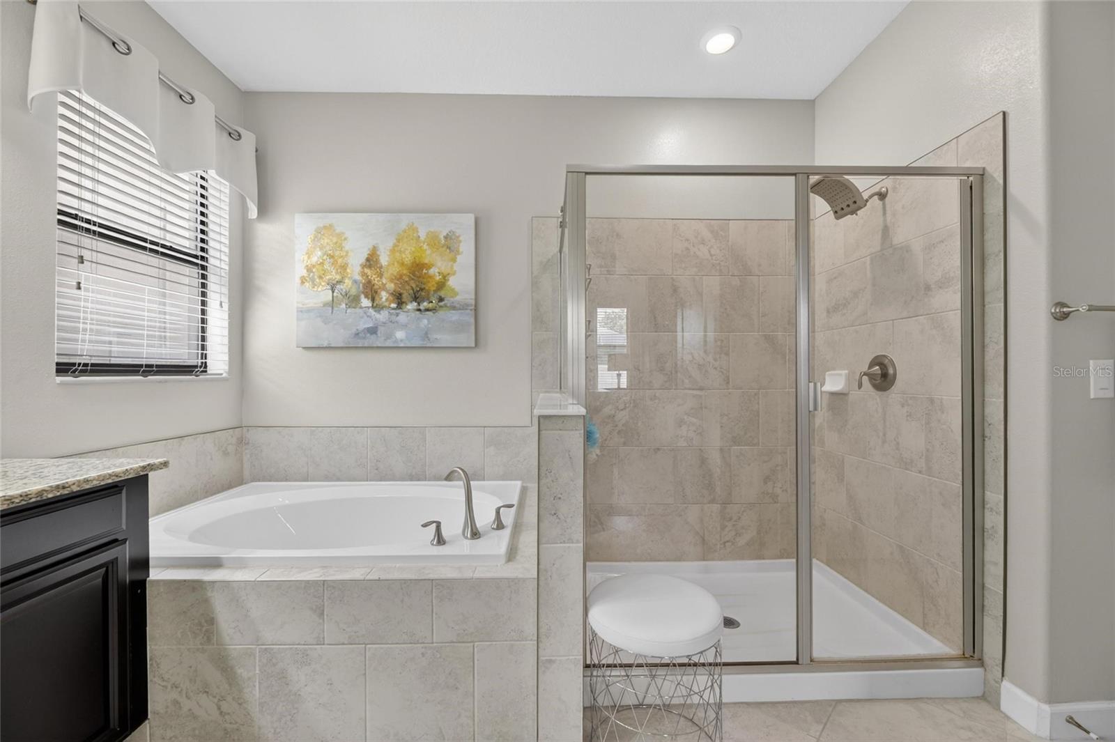 10802 GREAT CORMORANT DR, RIVERVIEW, FL, 33579