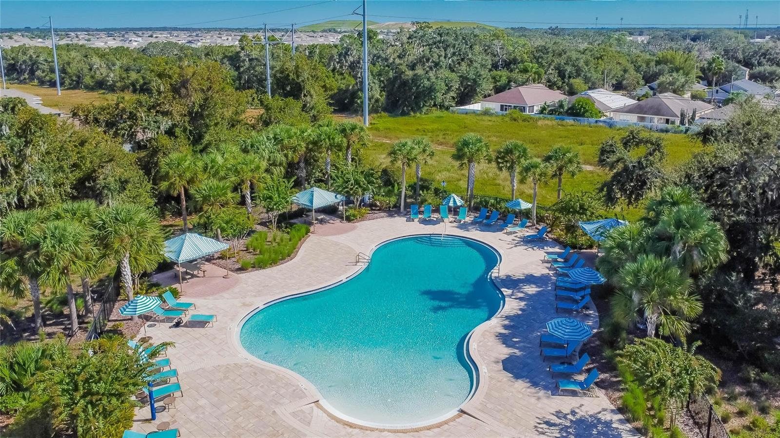 10802 GREAT CORMORANT DR, RIVERVIEW, FL, 33579