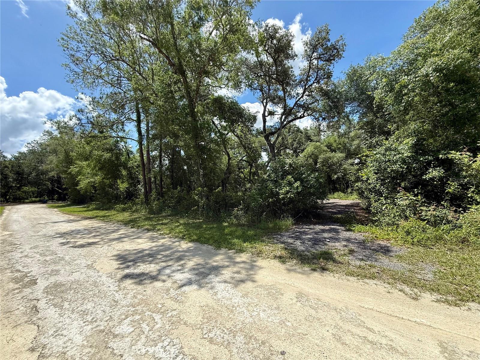 LONG CIR, WEBSTER, FL, 33597
