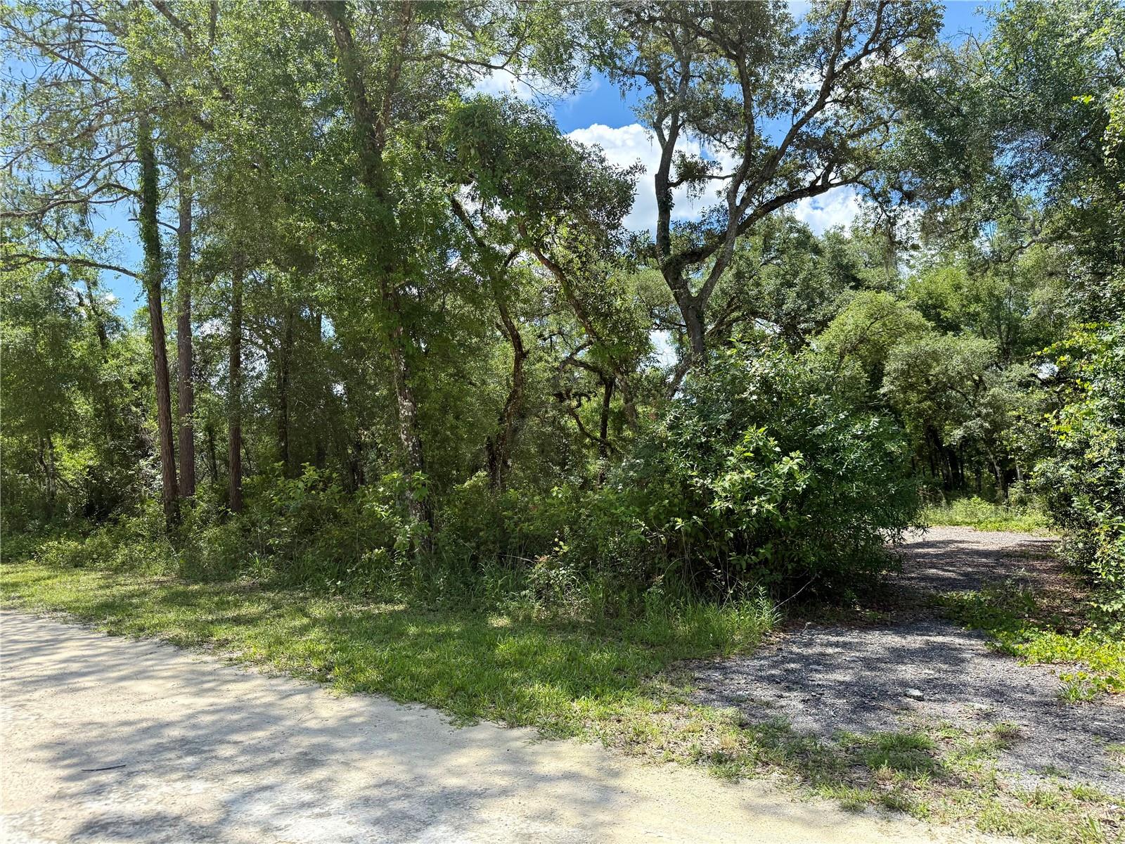 LONG CIR, WEBSTER, FL, 33597