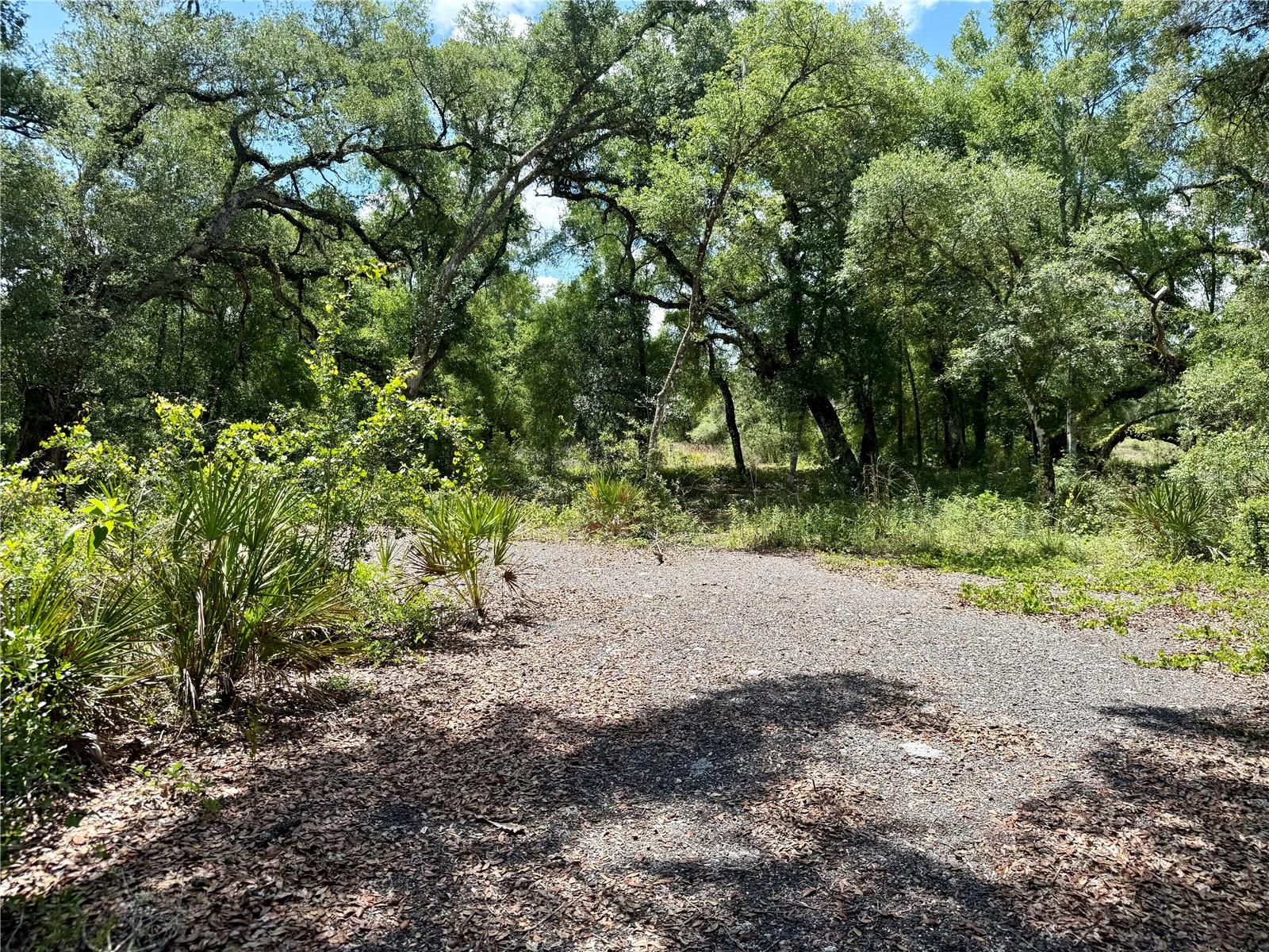 LONG CIR, WEBSTER, FL, 33597