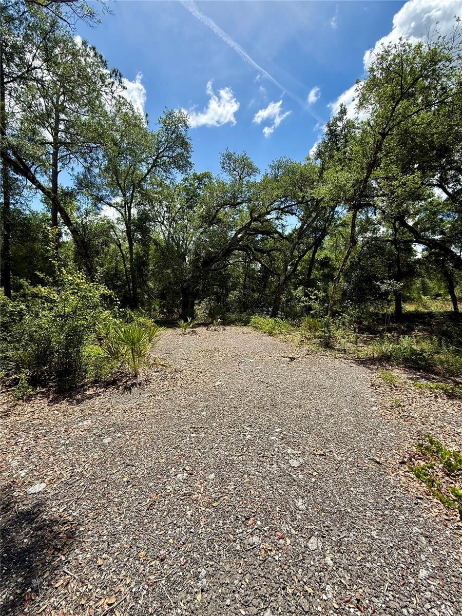 LONG CIR, WEBSTER, FL, 33597