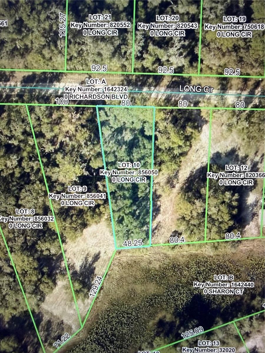 LONG CIR, WEBSTER, FL, 33597