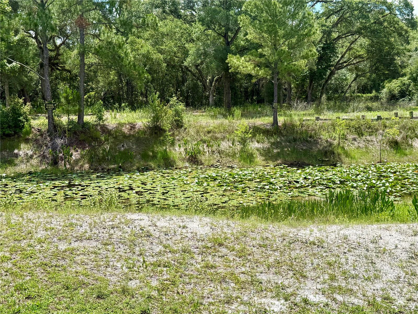 LONG CIR, WEBSTER, FL, 33597