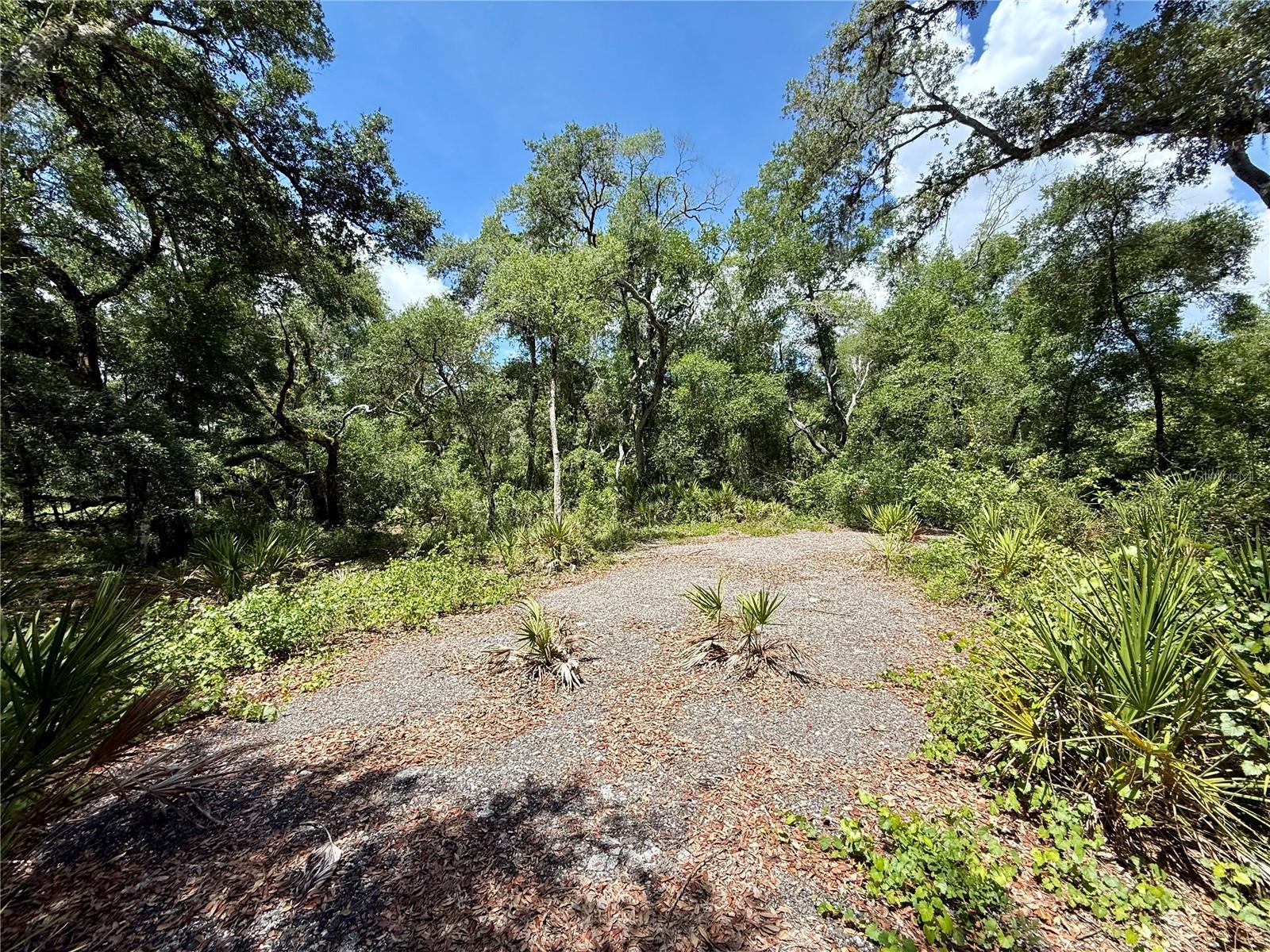 LONG CIR, WEBSTER, FL, 33597