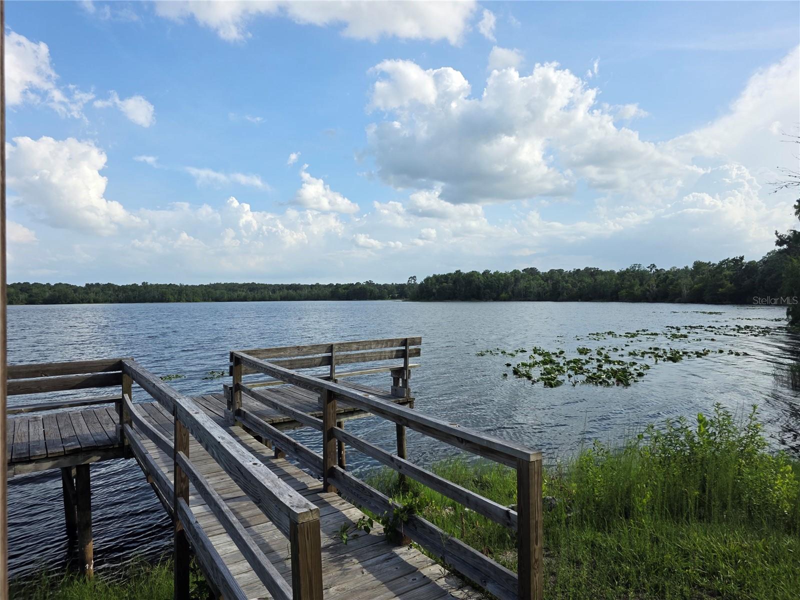 1724 SE 164TH CIR, OCKLAWAHA, FL, 32179
