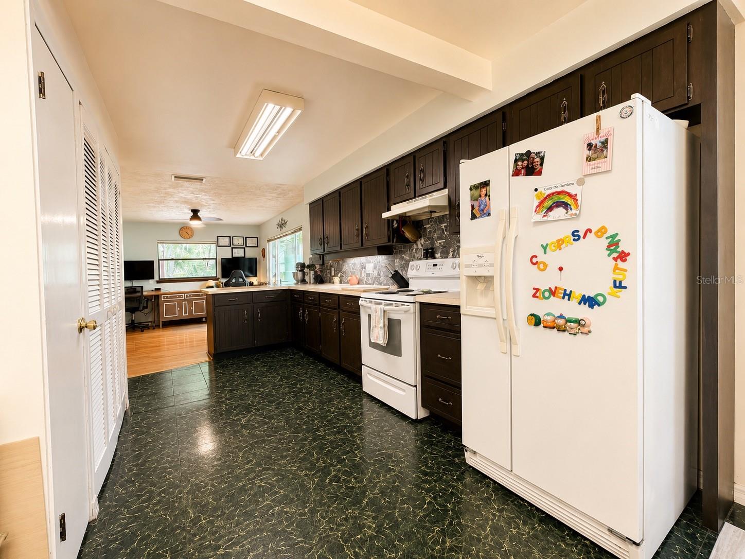 1724 SE 164TH CIR, OCKLAWAHA, FL, 32179