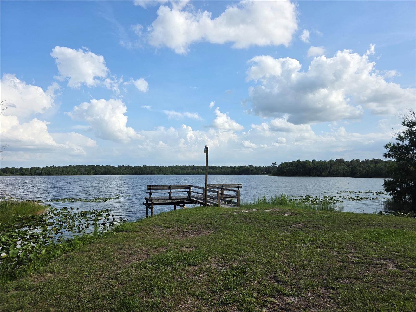 1724 SE 164TH CIR, OCKLAWAHA, FL, 32179