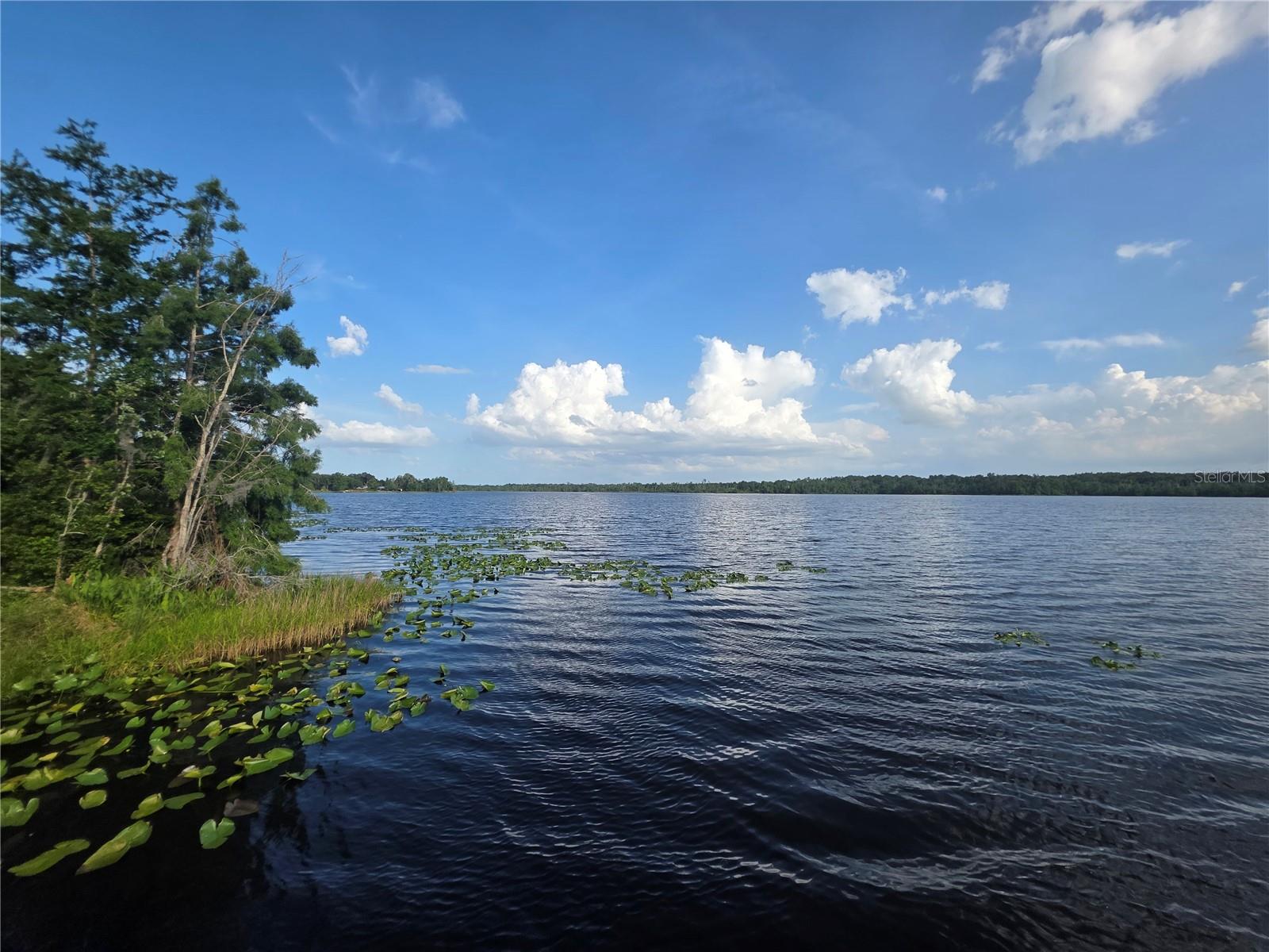 1724 SE 164TH CIR, OCKLAWAHA, FL, 32179