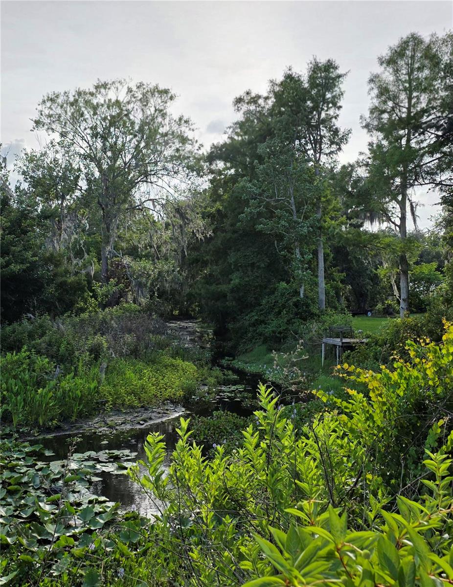 1724 SE 164TH CIR, OCKLAWAHA, FL, 32179