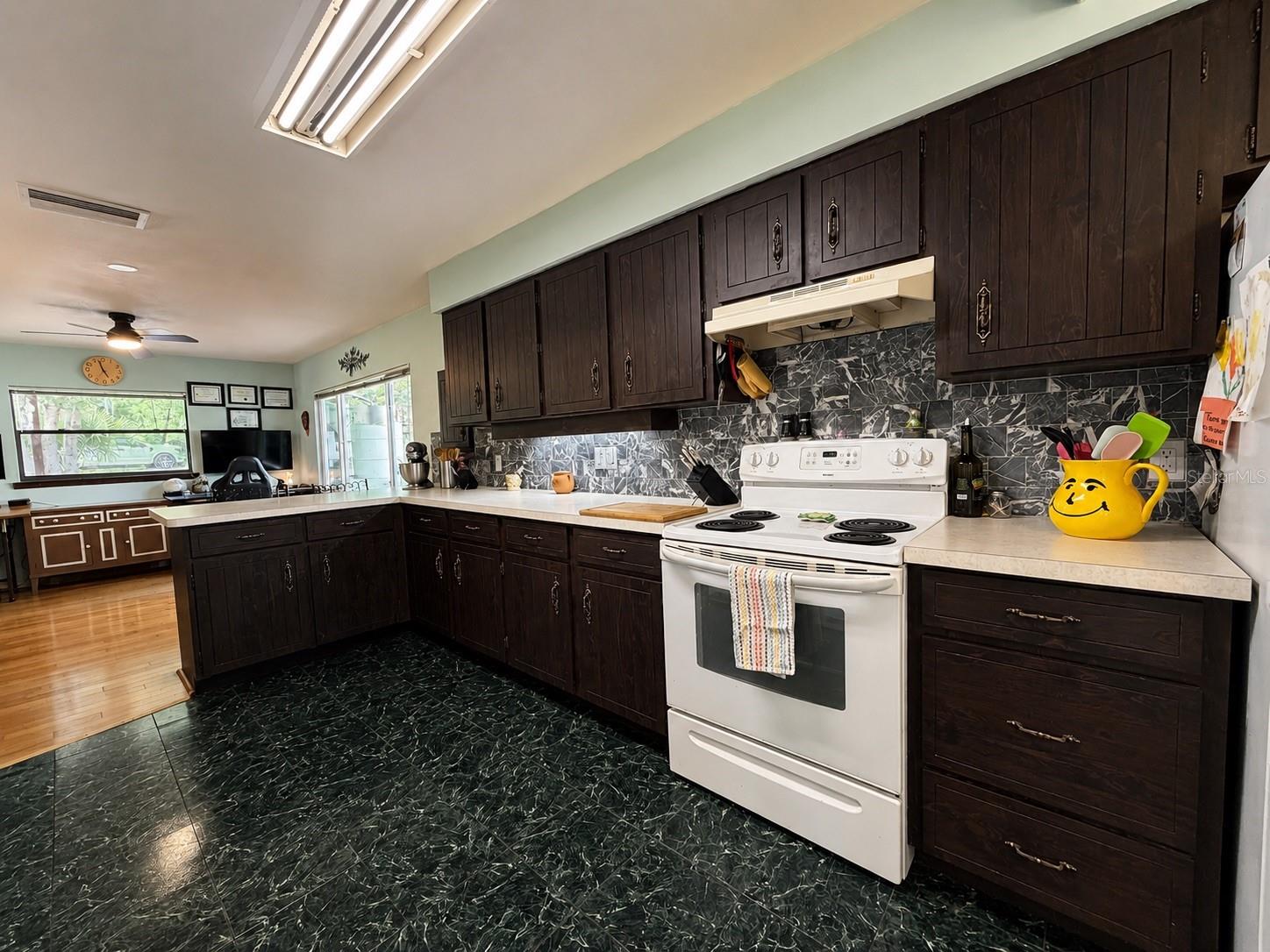 1724 SE 164TH CIR, OCKLAWAHA, FL, 32179