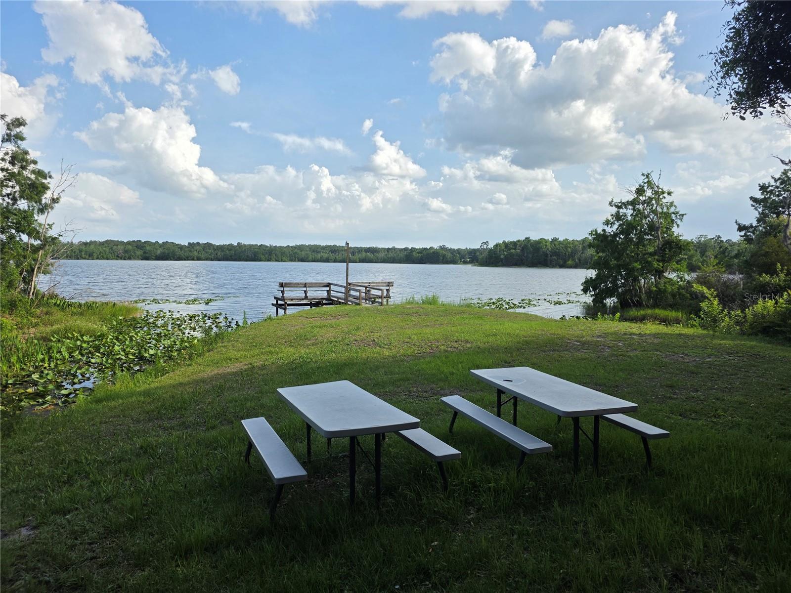 1724 SE 164TH CIR, OCKLAWAHA, FL, 32179