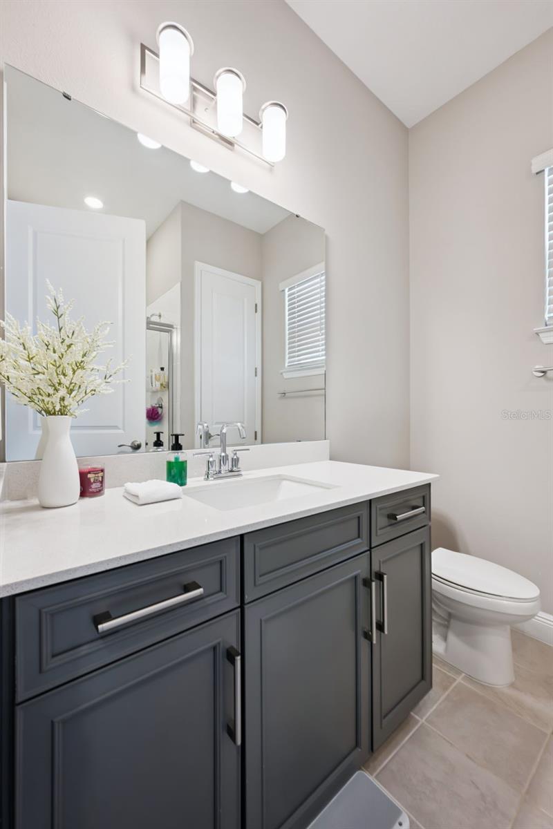 16379 SILVER GROVE BLVD, WINTER GARDEN, FL, 34787
